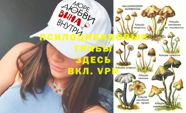 спиды Киреевск
