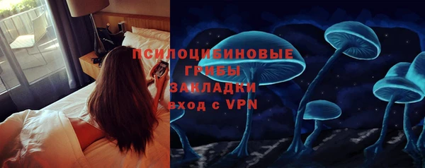 спиды Киреевск