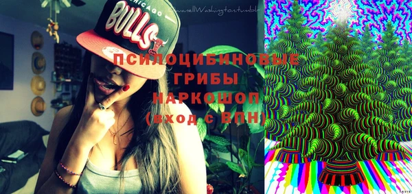 a pvp Киренск
