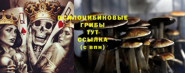 спиды Киреевск
