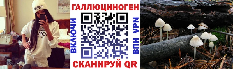 Купить где  Дедовск  Галлюциногенные грибы мухоморы 